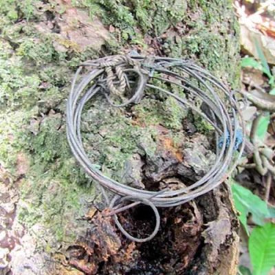 How-Many-Snares-8