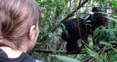 Adventures with bears of the Annamites: Tales from a field biologist
