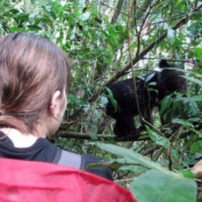 Adventures with bears of the Annamites: Tales from a field biologist