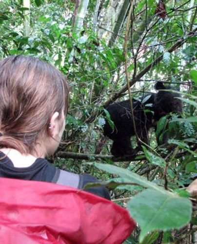 Adventures with bears of the Annamites: Tales from a field biologist