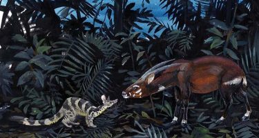 The Line in the Sand: Saola in a Broad Conservation Context