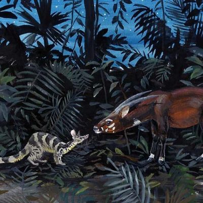 The Line in the Sand: Saola in a Broad Conservation Context