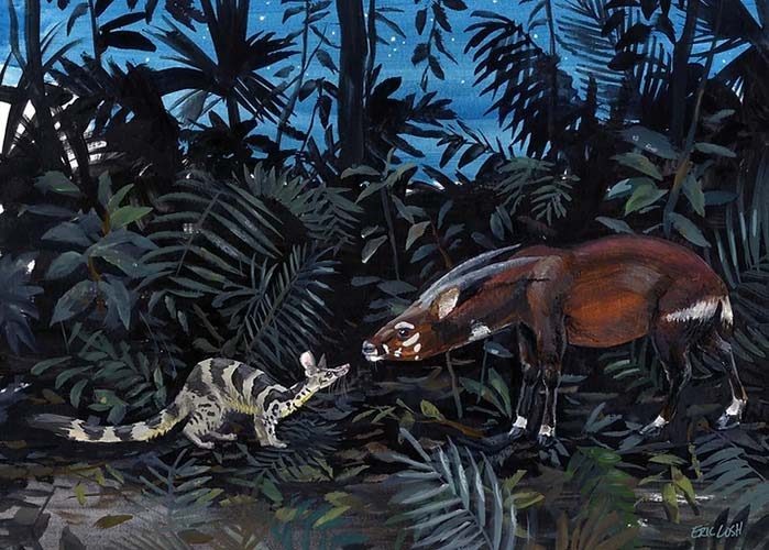 The Line in the Sand: Saola in a Broad Conservation Context