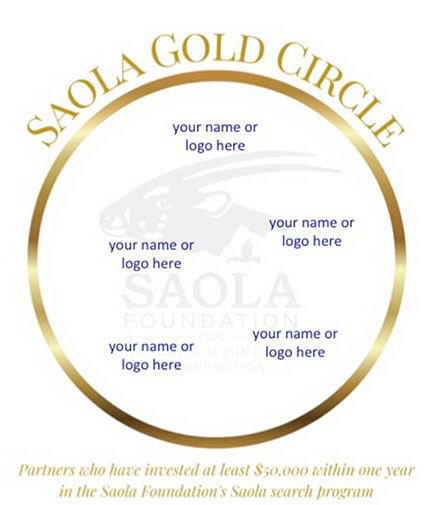 Saola Gold Partnership