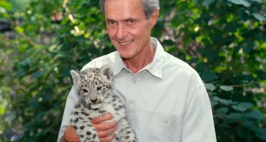 Dr. George Schaller with a snow leopard cub.