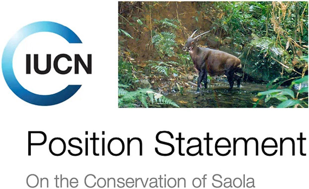 Saola In The Media old Saola Foundation Saola In The Media old Saola Foundation