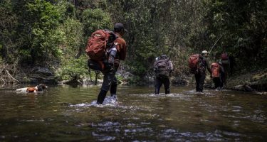 Saola Foundation field team and a scent detection dog crossing a river in the Annamite Mountains