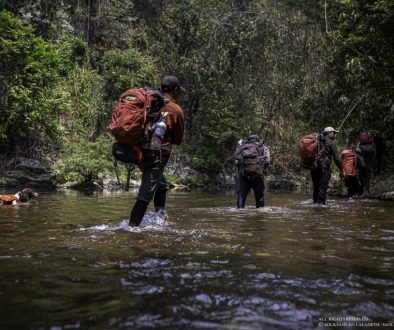 Saola Foundation field team and a scent detection dog crossing a river in the Annamite Mountains