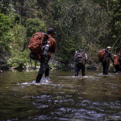 Saola Foundation field team and a scent detection dog crossing a river in the Annamite Mountains