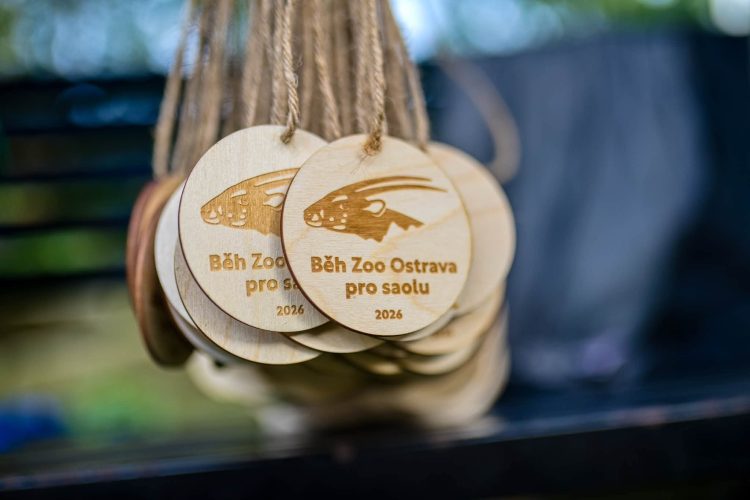 Runners at the Běh Zoo Ostrava pro saolu wearing shirts printed with the Saola, August 2026