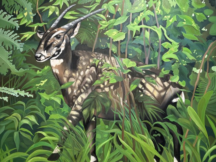 Saola, an original painting by the American artist Jeff Long